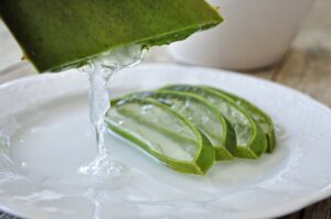 Leia mais sobre o artigo Conheça 8 benefícios da planta aloe vera