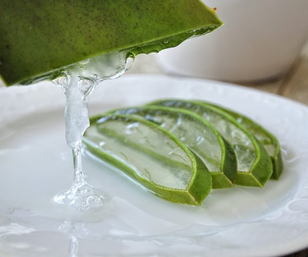 Conheça 8 benefícios da planta aloe vera