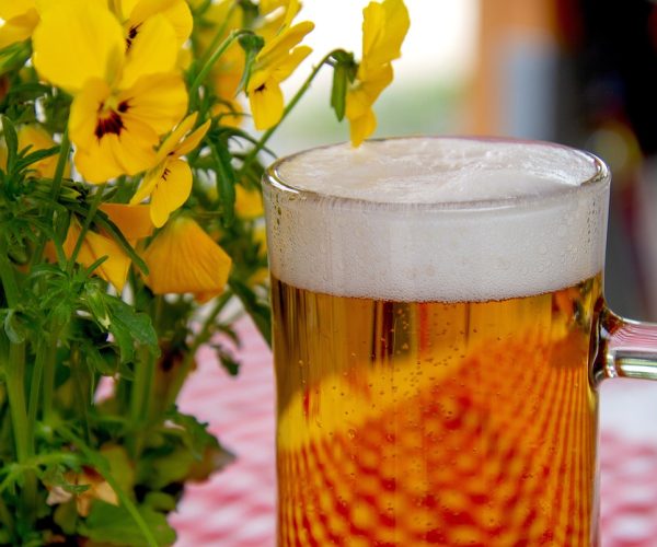 7 benefícios da levedura de cerveja