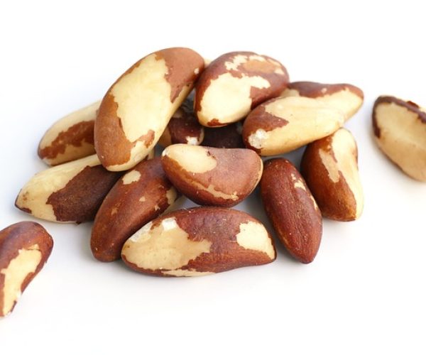 10 benefícios da Castanha do Brasil