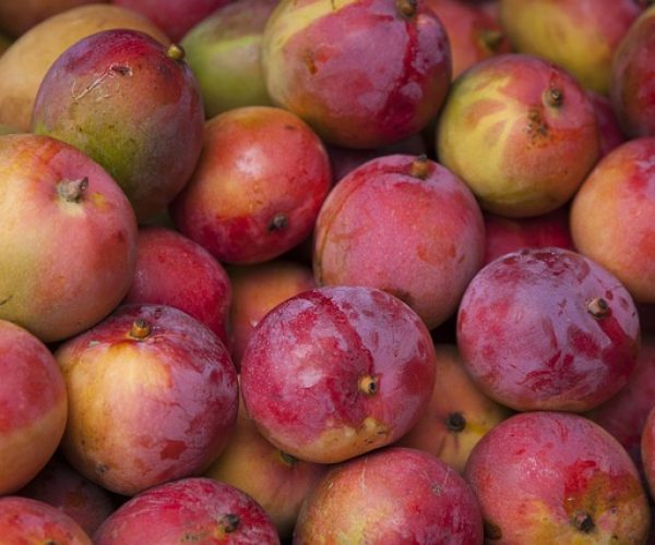 7 benefícios da manga