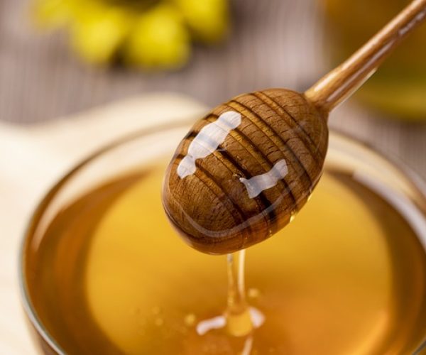 O mel de abelha tem muitos benefícios saiba aproveitar