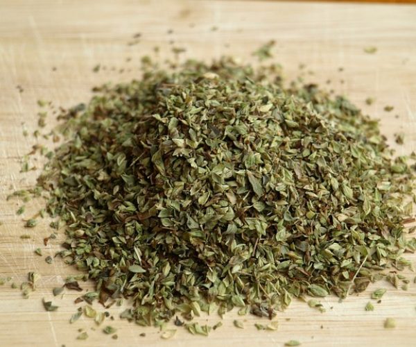 Conheça os benefícios do orégano