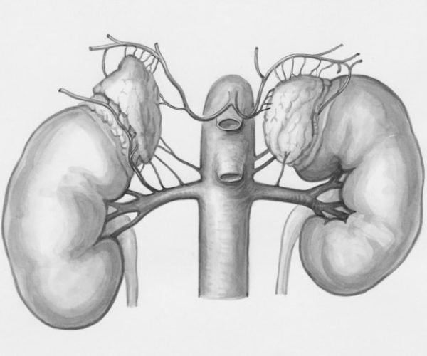 10 dicas de como combater a infecção urinária