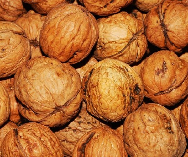 Benefícios das nozes e saiba como consumir