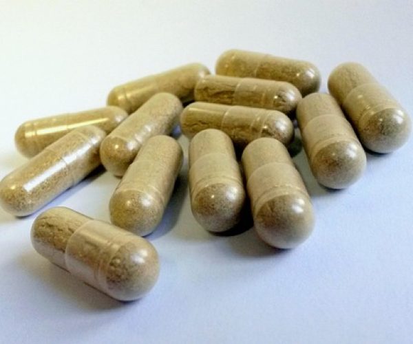 Benefícios do pycnogenol para a saúde