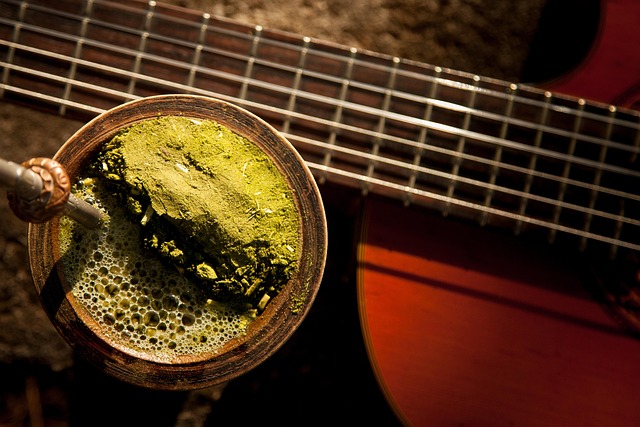 No momento, você está visualizando Benefícios do chá da erva-mate (chá mate)