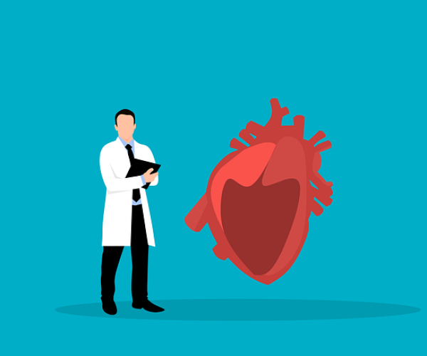 Doença cardíaca tipos existentes e como tratar.