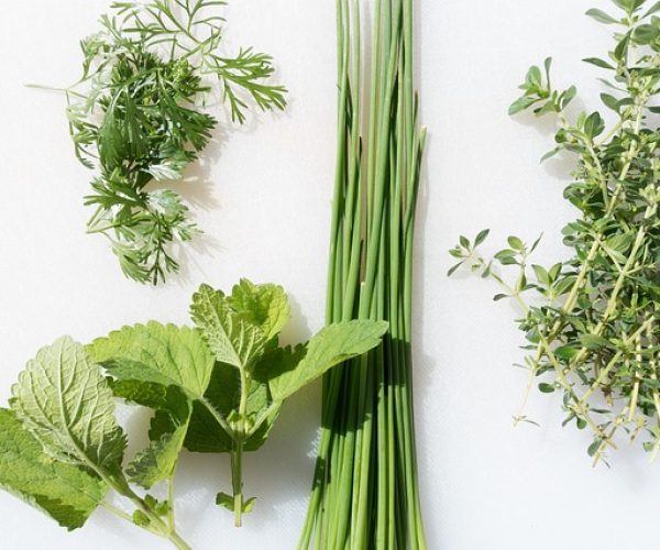 7 Benefícios do chá de erva e capim-cidreira