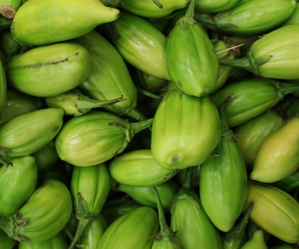 6 benefícios do jiló para a saúde